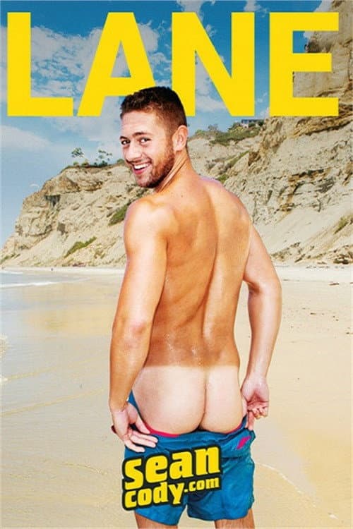 Постер: Lane