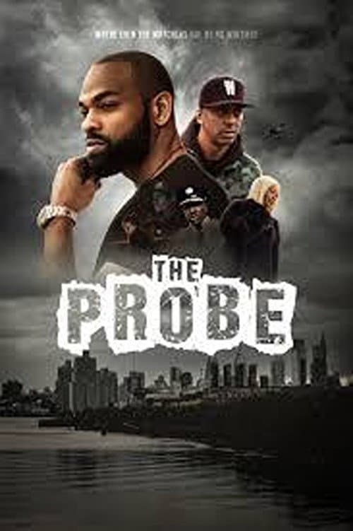 Постер: The Probe