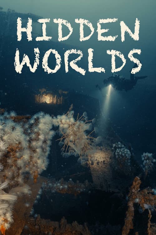 Постер: Hidden Worlds