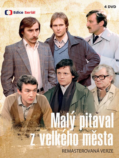 Постер: Malý pitaval z velkého města