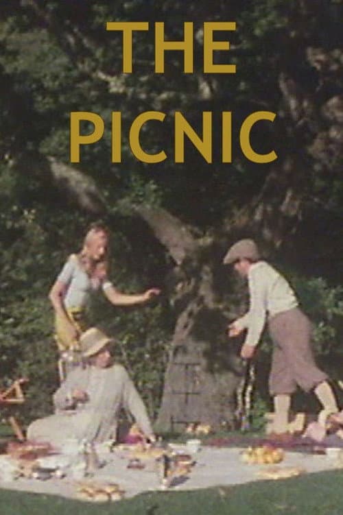 Постер: The Picnic