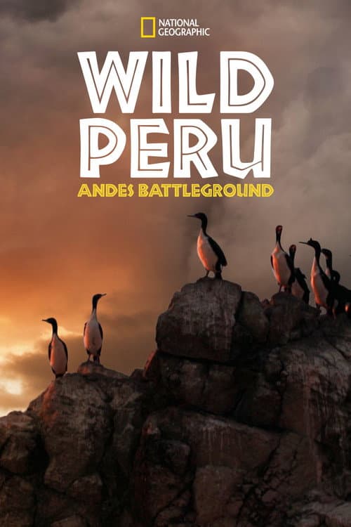 Постер: Wild Peru: Andes Battleground