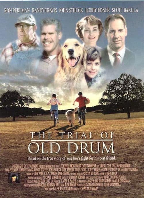 Постер: The Trial of Old Drum