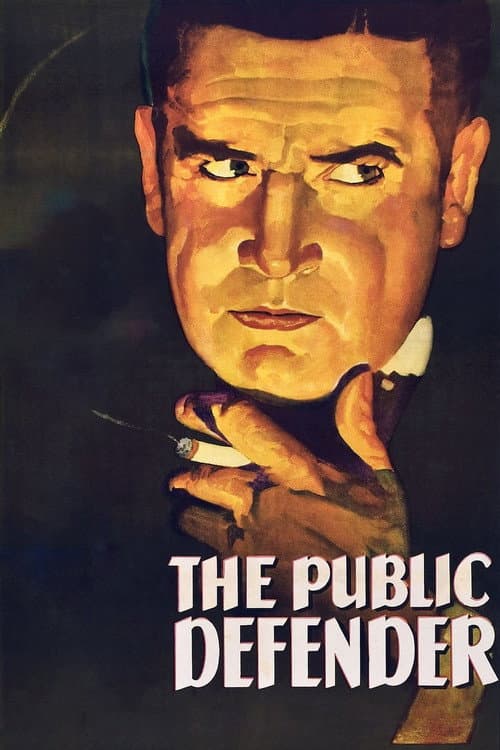 Постер: The Public Defender
