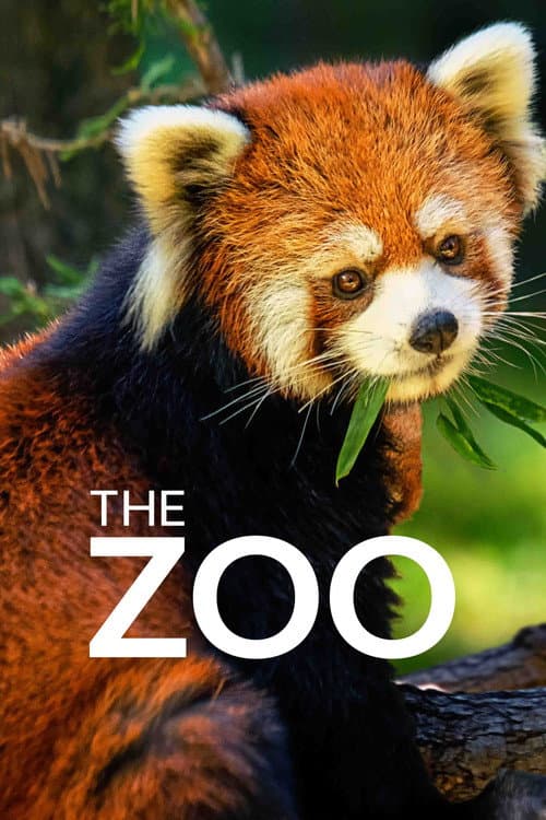 Постер: The Zoo