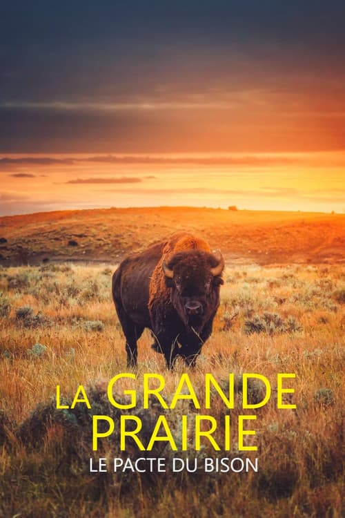Постер: La grande prairie, le pacte du bison