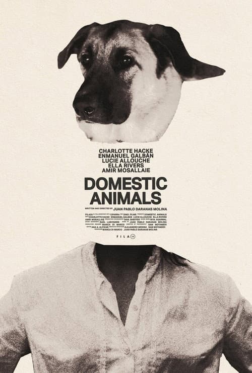 Постер: Domestic Animals