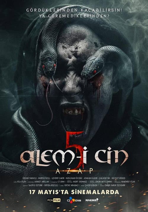 Постер: Alem-i Cin 5: Azap