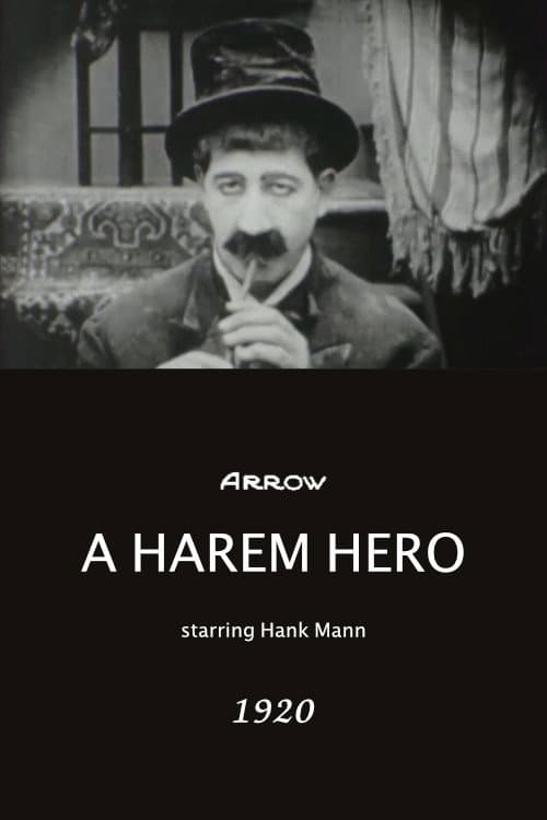 Постер: A Harem Hero