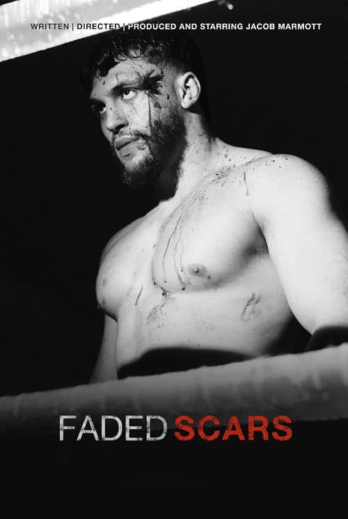 Постер: Faded Scars