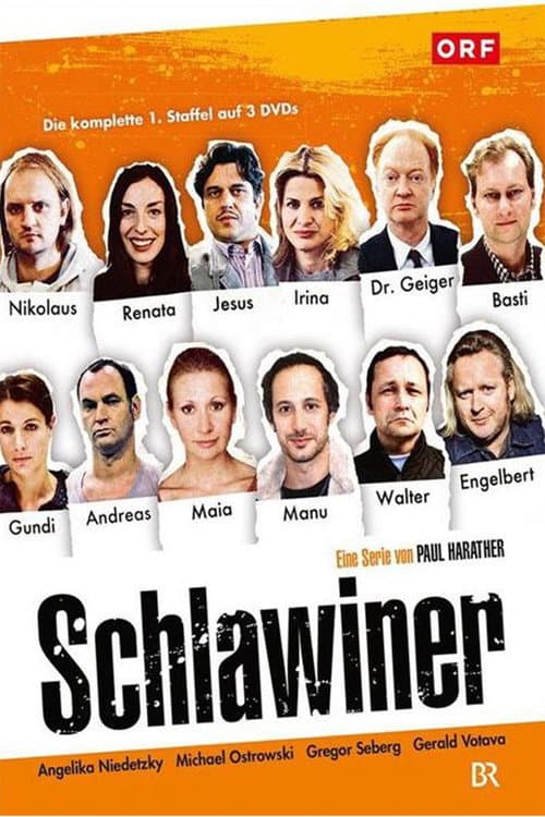 Постер: Schlawiner
