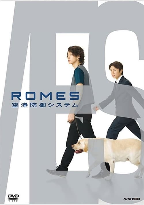 Постер: ROMES 空港防御システム