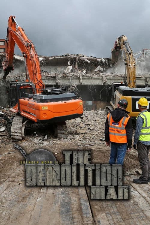 Постер: The Demolition Man