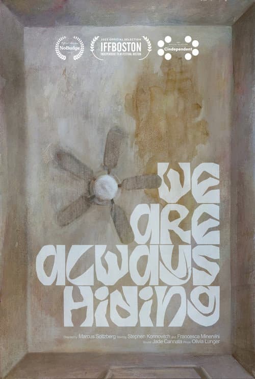 Постер: We Are Always Hiding