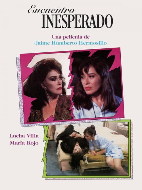 Постер: Encuentro Inesperado