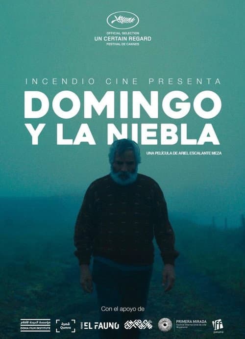 Постер: Domingo y la niebla