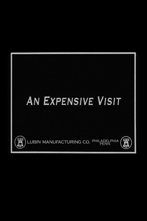 Постер: An Expensive Visit