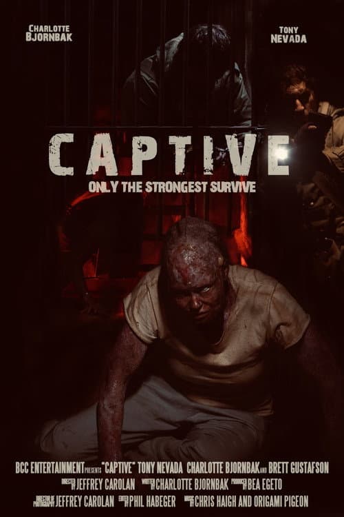 Постер: Captive