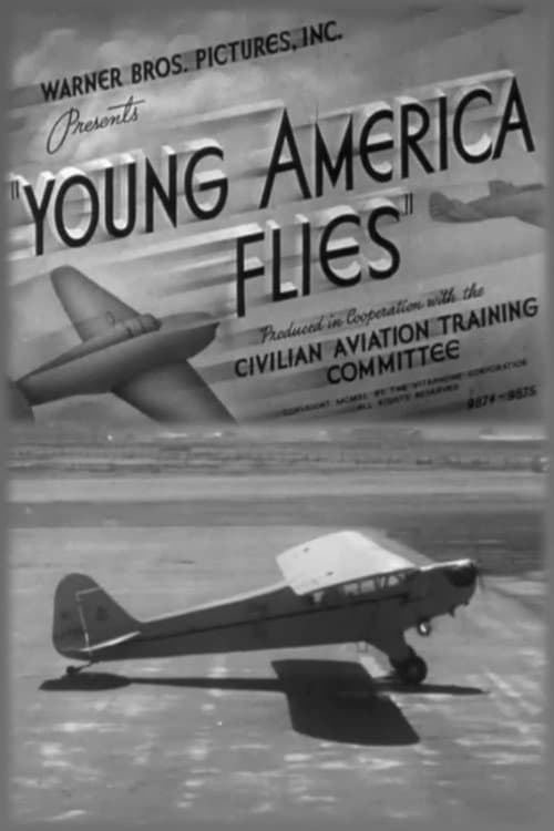 Постер: Young America Flies