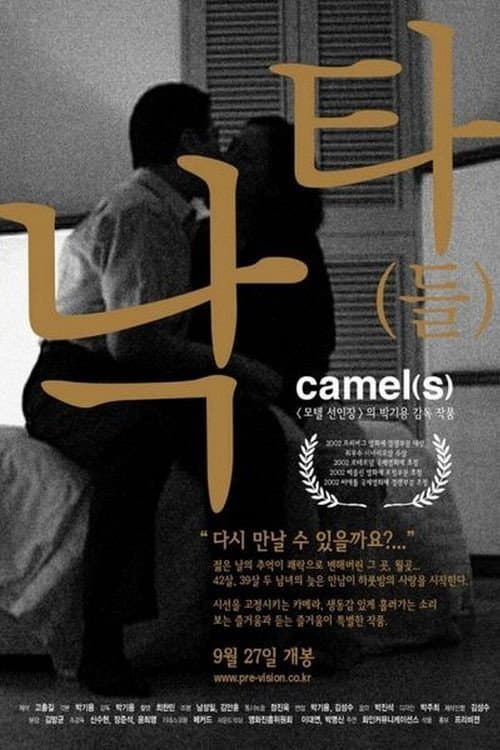 Постер: 낙타(들)