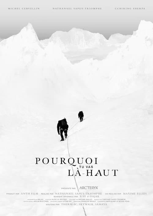 Постер: Pourquoi tu vas là-haut