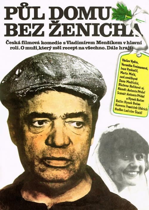 Постер: Půl domu bez ženicha