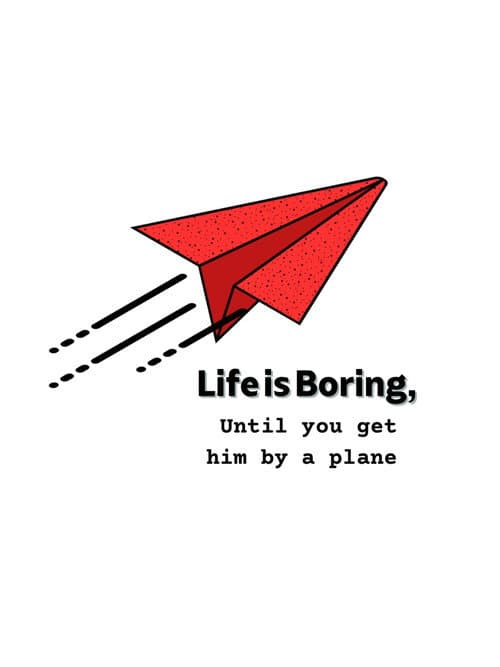 Постер: Life is Boring, Until you get hit by a plane