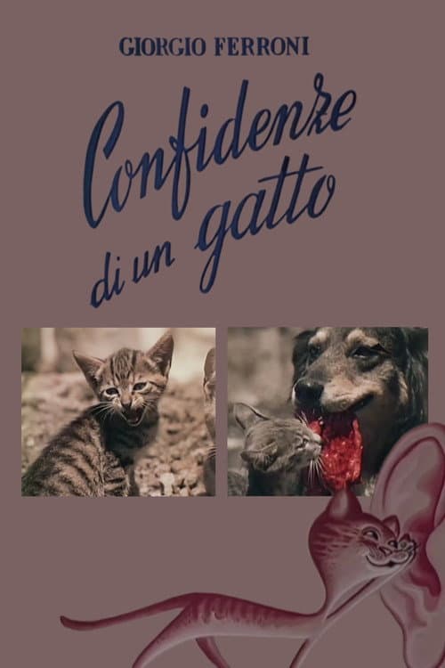 Постер: Confidenze di un gatto