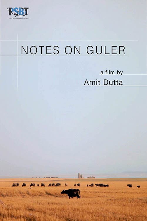 Постер: Notes on Guler