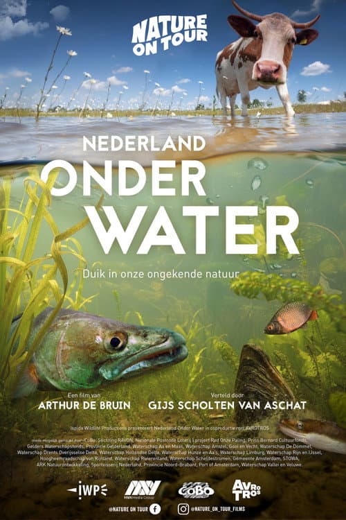 Постер: Nederland onder water