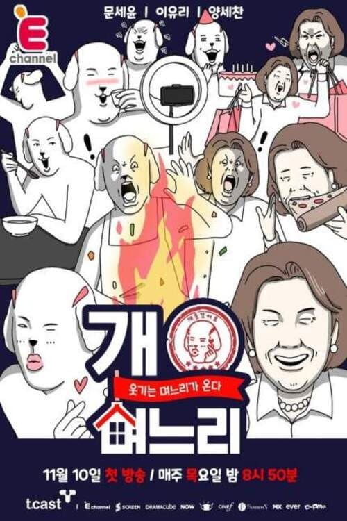 Постер: 개며느리