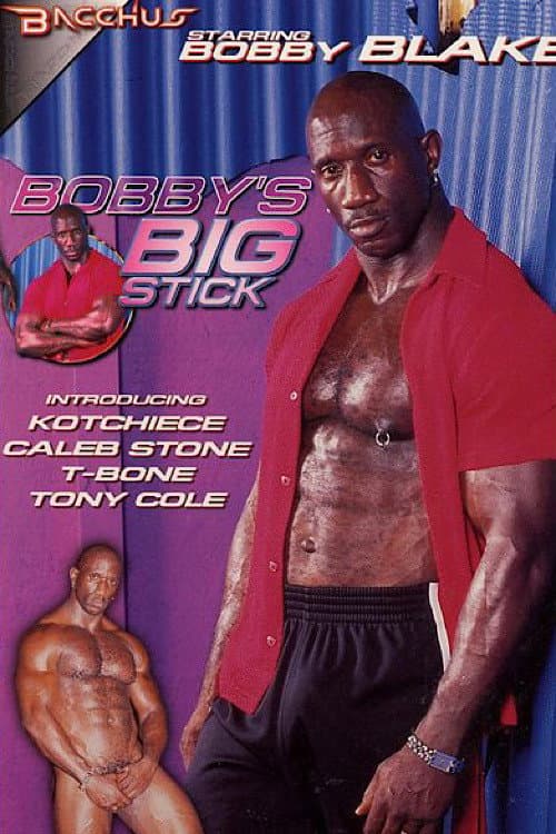 Постер: Bobby's Big Stick