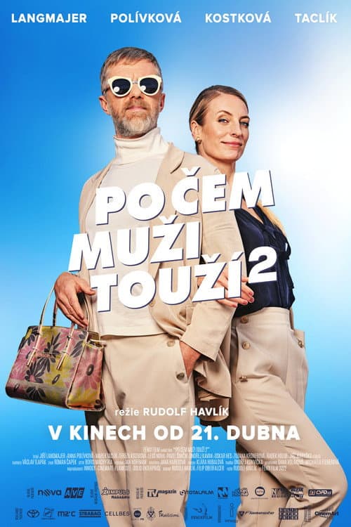 Постер: Po čem muži touží 2