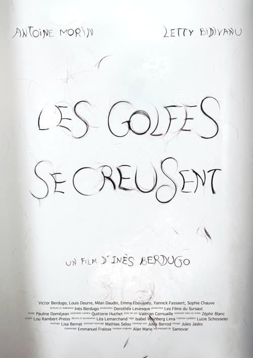 Постер: Les golfes se creusent