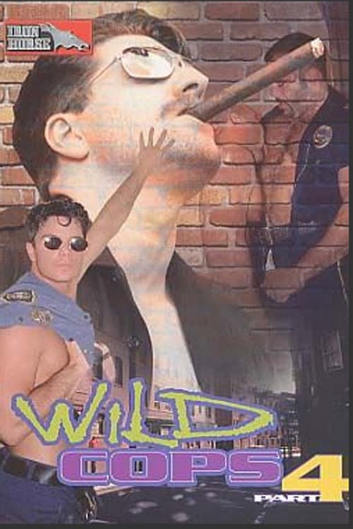 Постер: Wild Cops 4