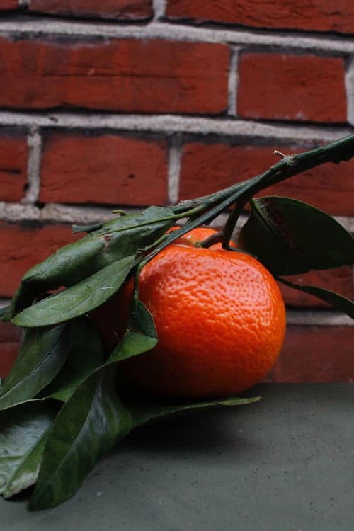 Постер: Orange Peel