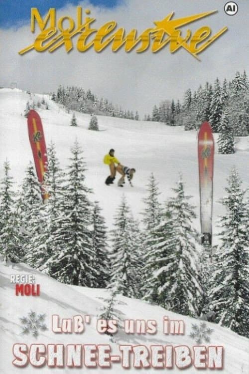 Постер: Lass es uns im Schnee treiben