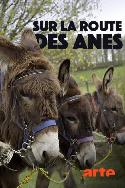 Постер: Sur la route des ânes