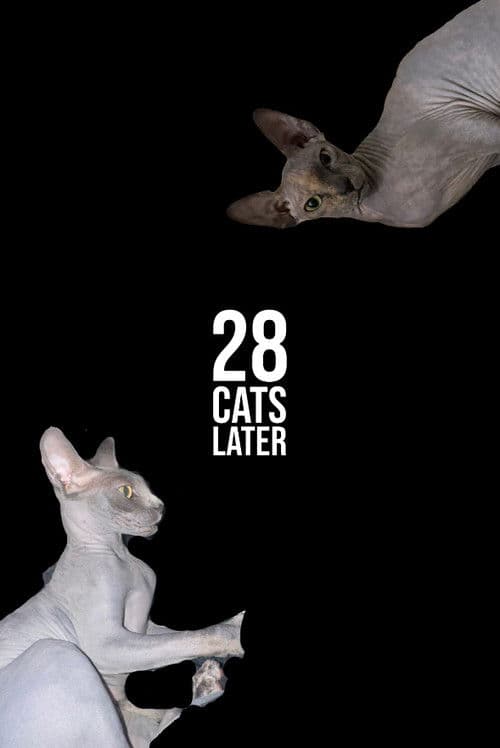 Постер: 28 Cats Later