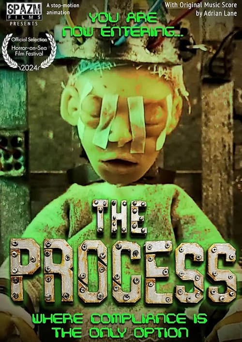 Постер: The Process