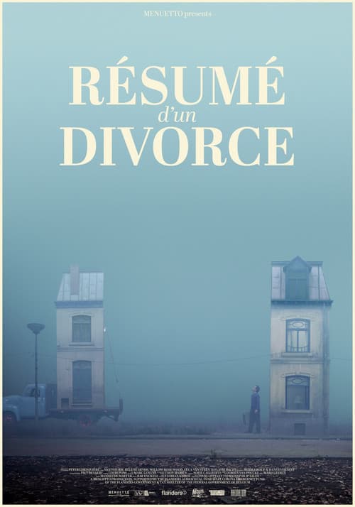 Постер: Résumé d'un divorce