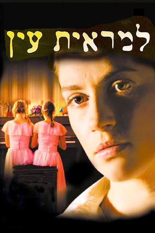 Постер: למראית עין