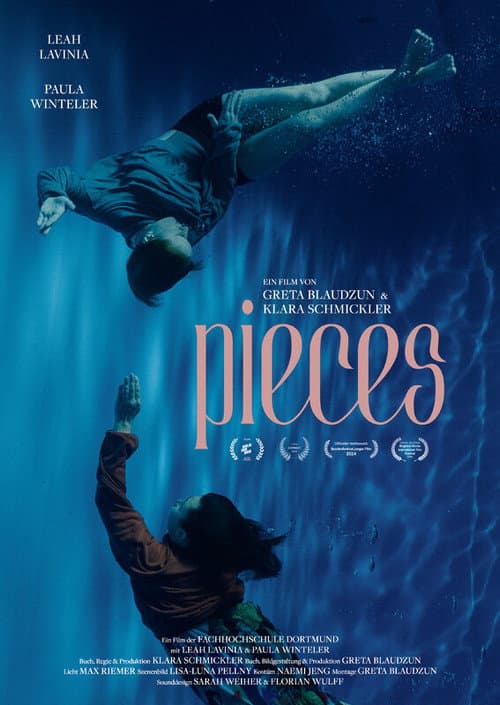 Постер: pieces