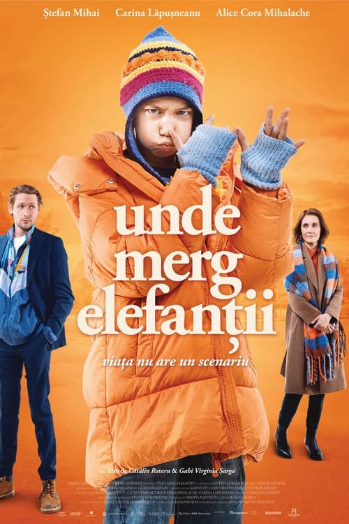 Постер: Unde merg elefanții
