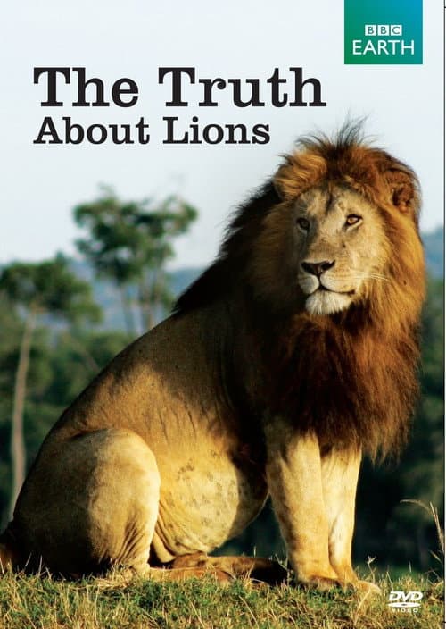 Постер: The Truth About Lions