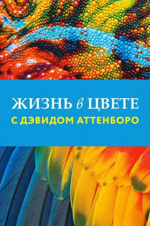 Постер: Жизнь в цвете с Дэвидом Аттенборо