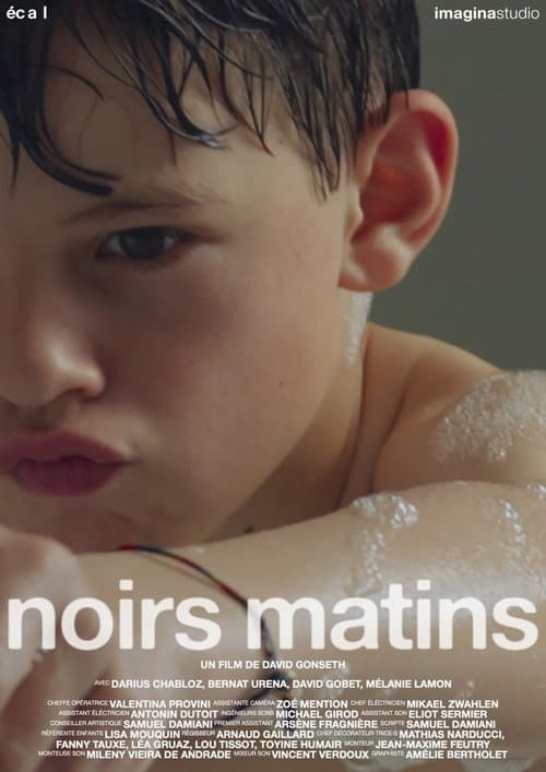 Постер: Noirs matins