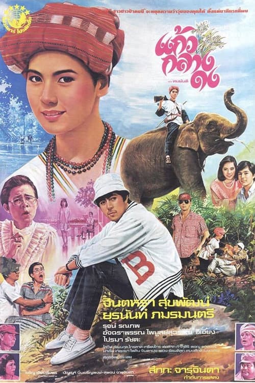 Постер: แก้วกลางดง