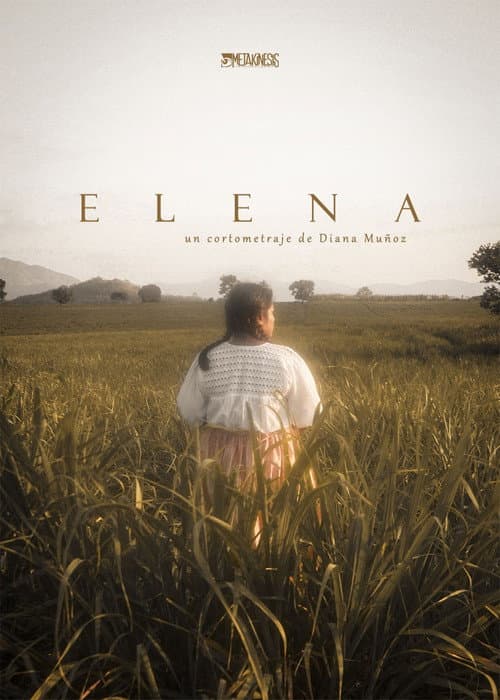 Постер: Elena