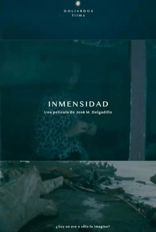 Постер: Immensity